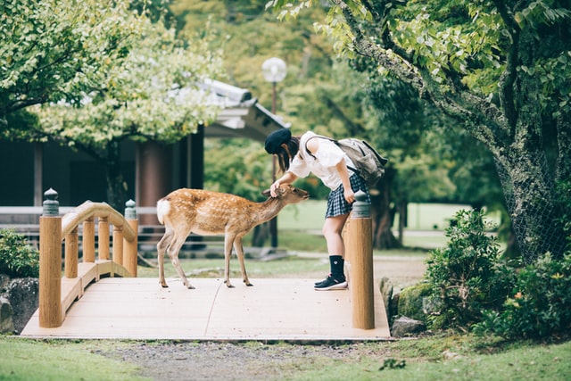nara-matsudastore-1